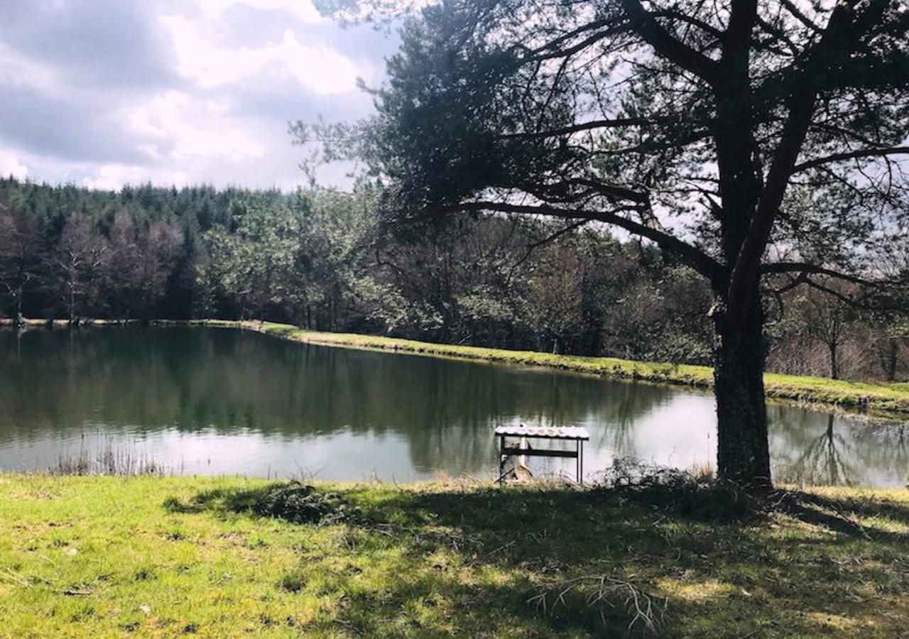 Morvan La Pastourelle Quarre-les-Tombes Luaran gambar